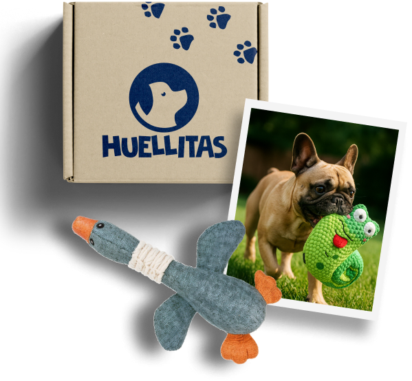 Perro jugando con juguete